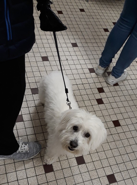 2019 Remisage 27 10 (194)