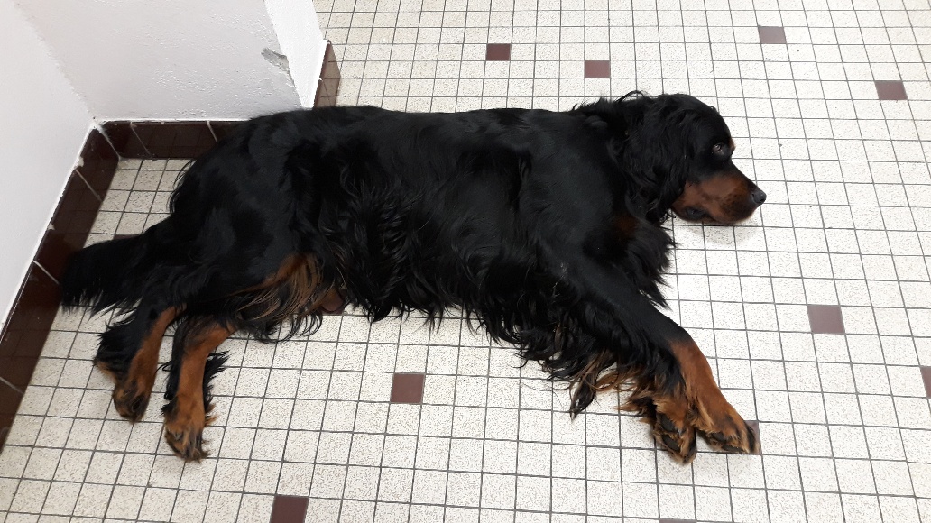 2019 Remisage 27 10 (196)