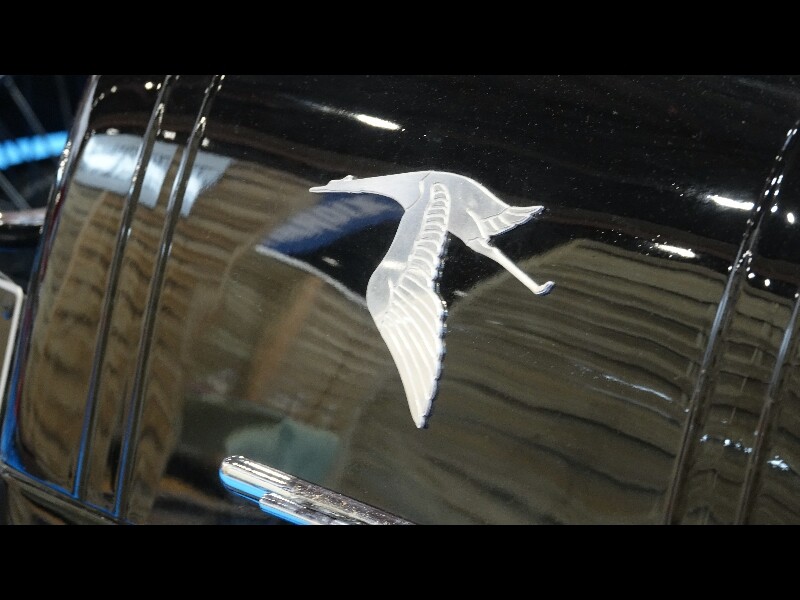 Epoqu auto 20241109 70 