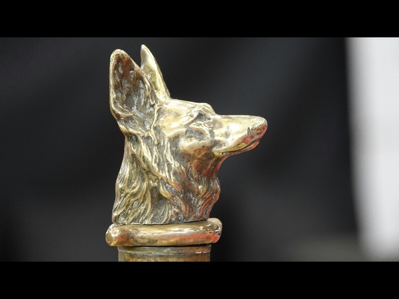 Epoqu auto 20241109 88 