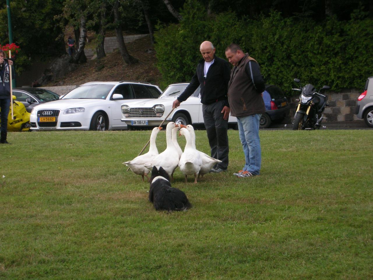 Fête d'Orcines 25 08 2013