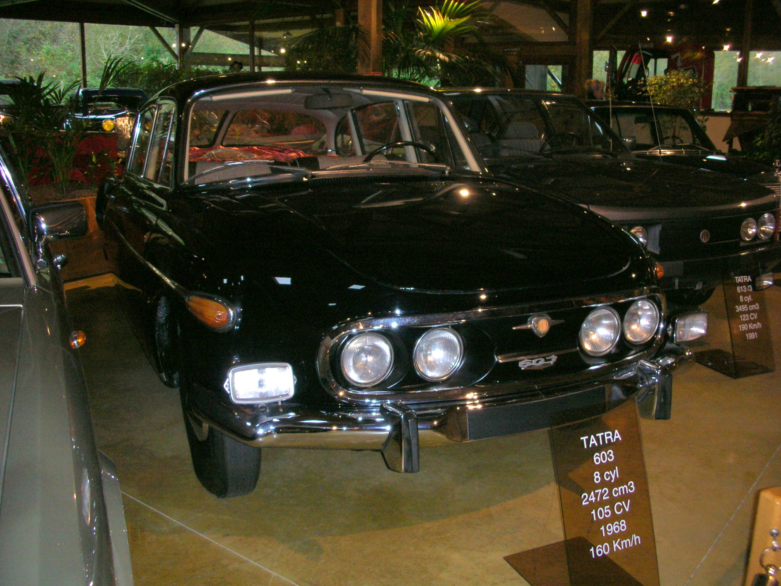 Manoir de l'Automobile de Lohéac (221)