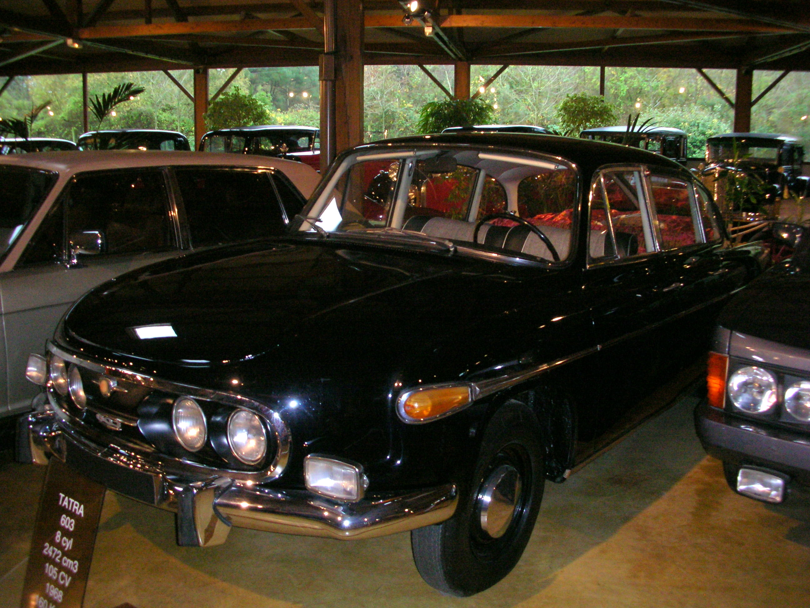 Manoir de l'Automobile de Lohéac (222)