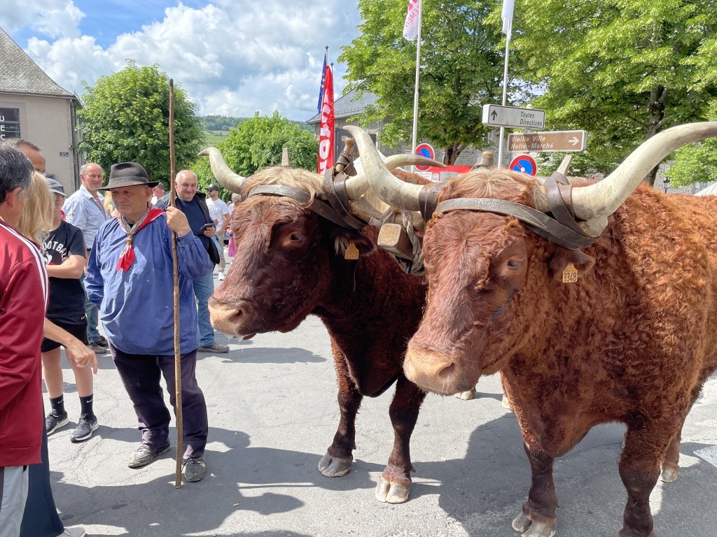 Murat 11 juin 2023 15 1