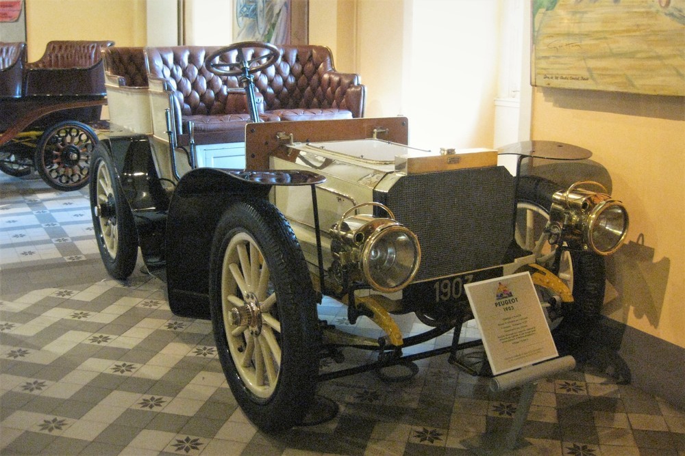 Musée Henri Malartre (102)