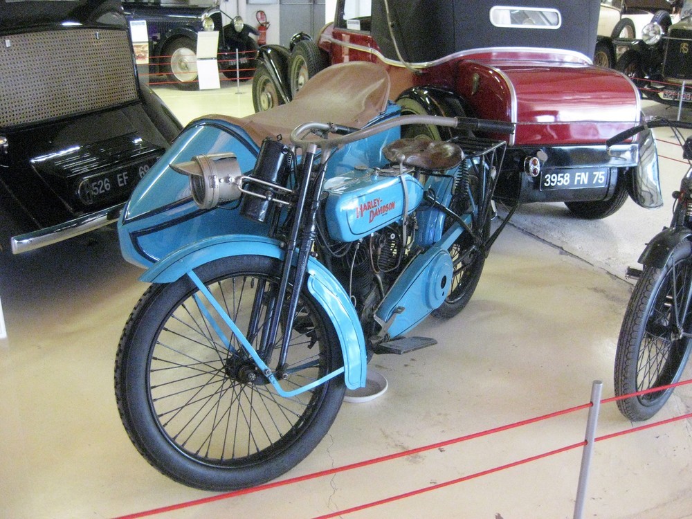 Musée Henri Malartre (129)