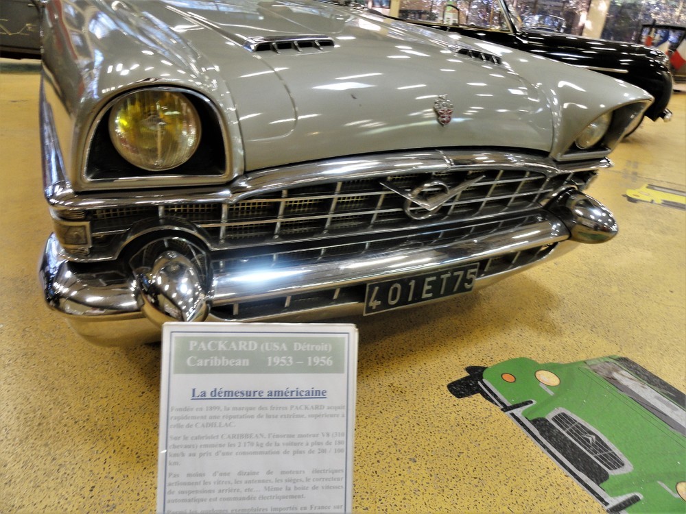 Musée Henri Malartre (42)