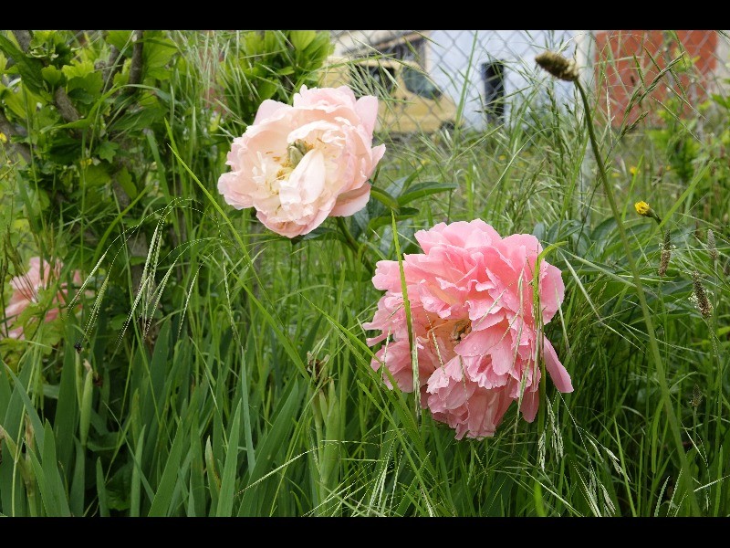 Sortie 3jours 2023 62 2