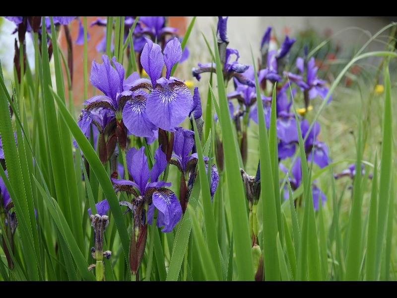 Sortie 3jours 2023 63 2