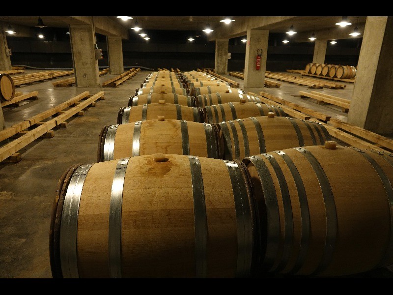 Sortie 3jours 2023 85 2