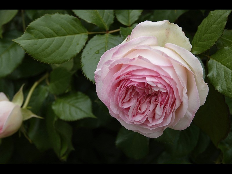 Sortie 3jours 2023 97 2