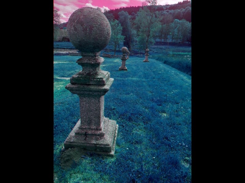 Sortie lozere 2025 137 