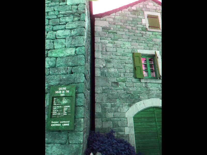 Sortie lozere 2025 80 