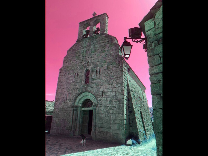 Sortie lozere 2025 82 