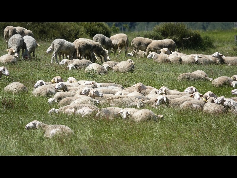 Sortie lozere 3jours 65 