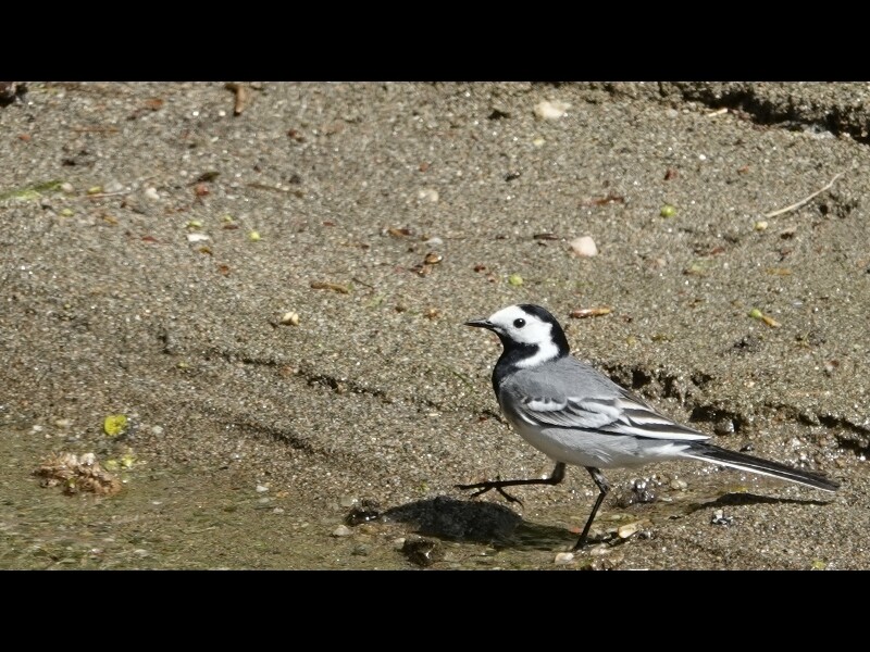 Sortie lozere 3jours 70 
